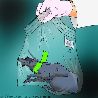 The dead body of Jenner in a zip-top bag, held by a gloved human.